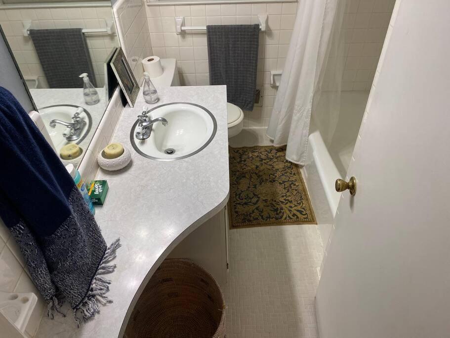 Whole House In Athens, Private, Fenced, Convenient, Close To Downtown 外观 照片
